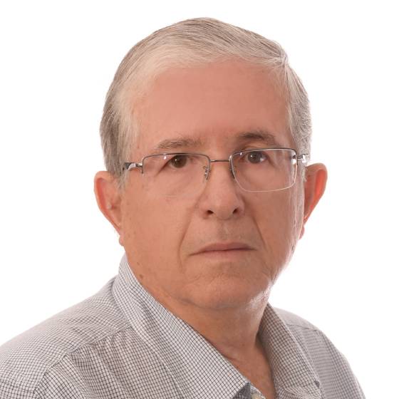 Consultores